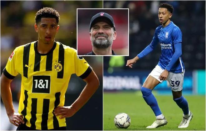 不是华丽的 不是华丽的